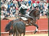 sevillamat12min2