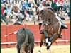 sevillamat12min5