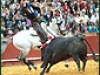 sevillamat12min7