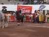 torreon12_1