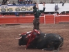 torreon12_10