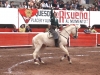 torreon12_5