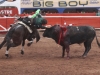 torreon12_8