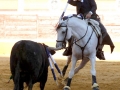 tudela14_11