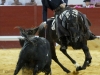 utrera10_16