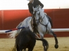 utrera10_6