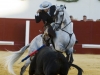 utrera10_7