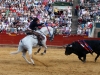 valencia10