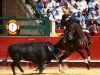 valenciamar14_04