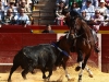 valenciamar14_05