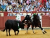 valladolid12_03