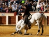 valladolid2013_04