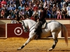 valladolid2013_05