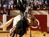 valladolid2013_06