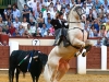 valladolid2013_14