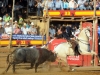 alvarez11_4