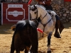 villaluenga14_8