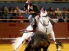 vistalegre14_9