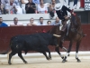 vitoria10_7