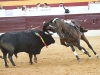 zafra0913