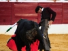 zafra2012_15