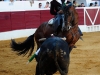 zafra2012_3
