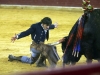 zaragoza212