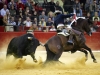 zaragoza22