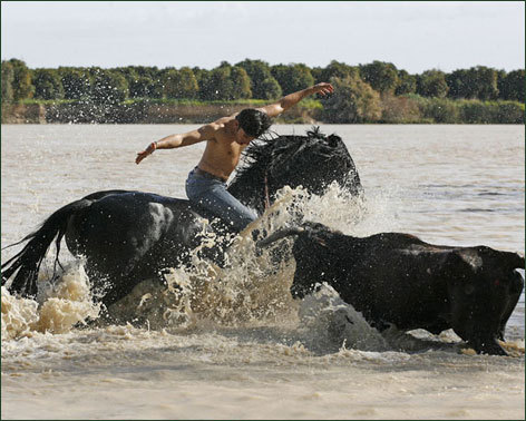 EN EL AGUA. Espectaculares imágenes toreando en el agua.