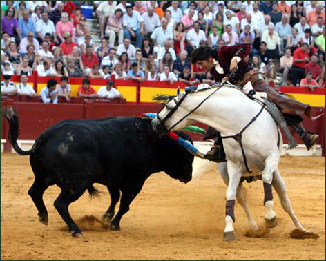 Gran faena al quinto y salida a hombros