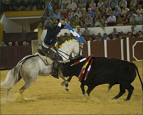 Arrasa de nuevo: un rabo en Antequera