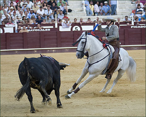 Oreja, espectacular caída e injusticia