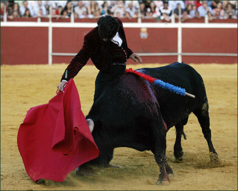 Ventura sorprende toreando con capote y muleta