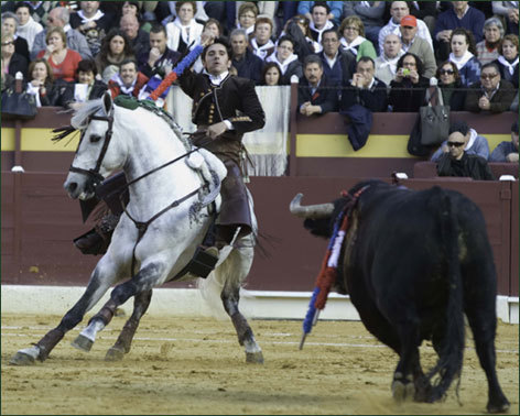 Alto nivel con caballos nuevos en el festival