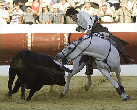 Ventura, apoteósico, corta dos rabos