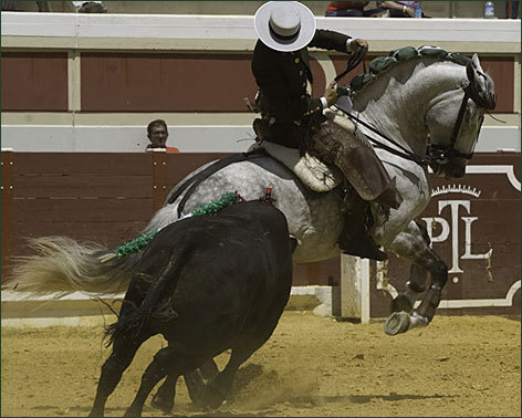 Continúa la racha de triunfos