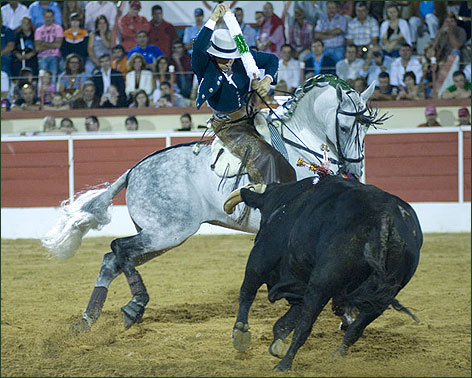 Ventura pone en pie Montijo