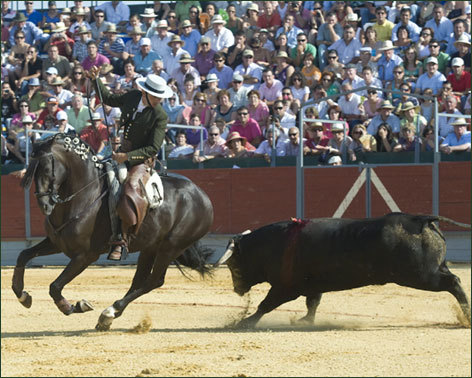 Gran nivel y debut de Demonio
