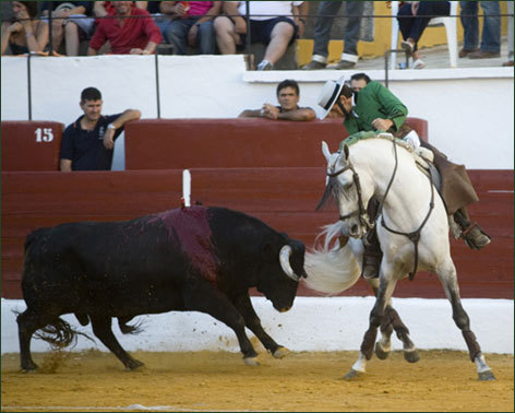 Dos orejas en la corrida mixta