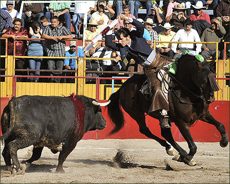 Falla con el rejón de muerte y concluye su actuación en Guanajuato con el corte de una oreja