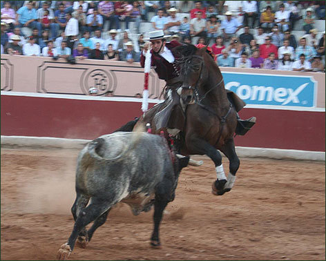 Cuatro orejas y un rabo en la corrida de Tula