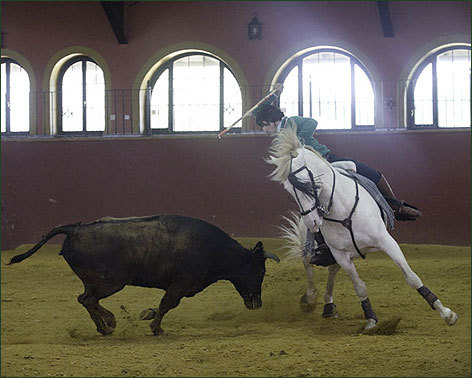 Diego Ventura prueba nuevos caballos que debutarán esta temporada