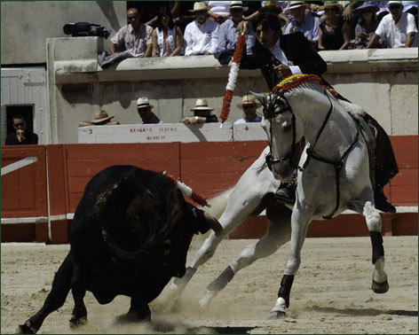 El acero deja en una sola oreja la importante actuación de Ventura en la matinal de Nîmes