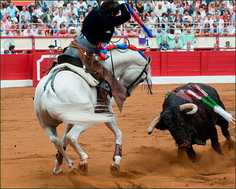 Adiós a Distinto, un caballo único