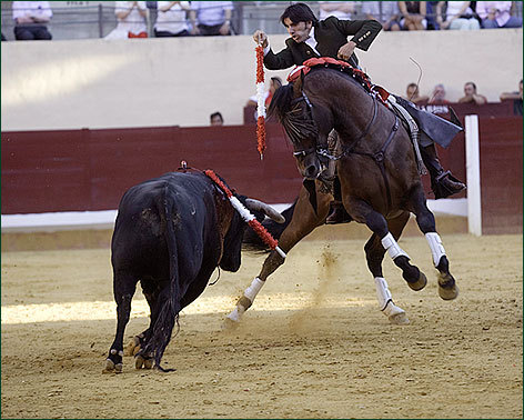 Una oreja y pierde más premios con el acero