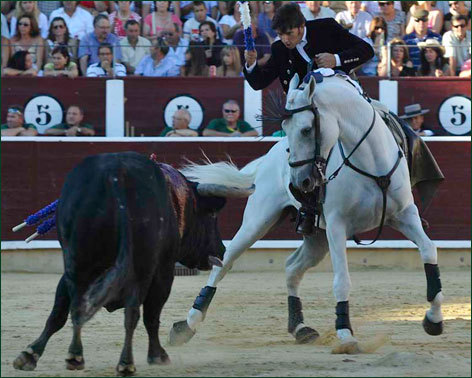 Dos orejas que se pudieron multiplicar por dos