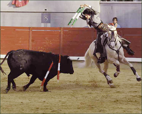 Rotundo triunfo y reaparición de caballos