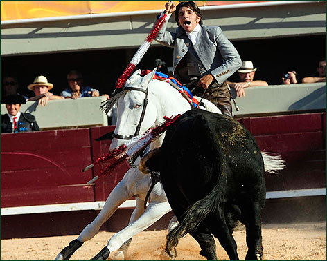 Sigue triunfando: dos orejas en Istres