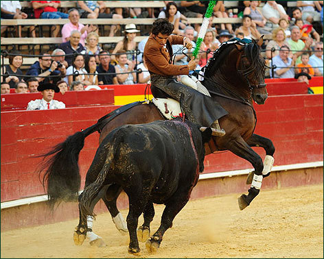 Mejor rejoneador de la Feria de Julio de Valencia