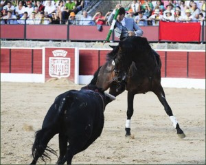 burgo osma ventura